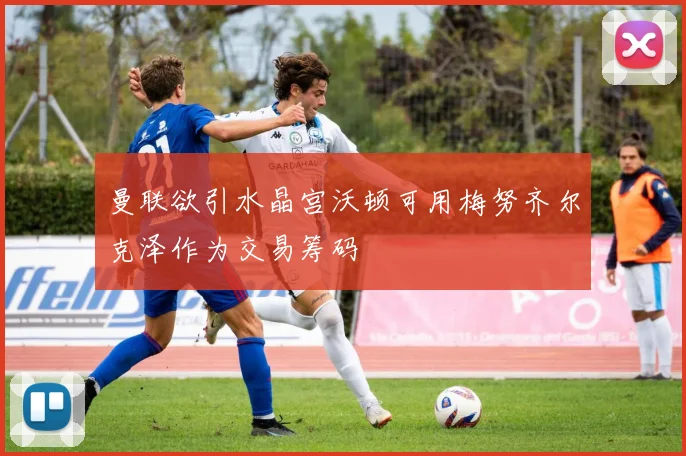 曼联欲引水晶宫沃顿可用梅努齐尔克泽作为交易筹码